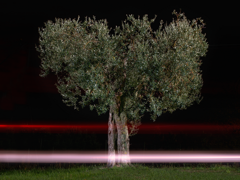 Natura Umana I