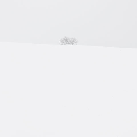 Sotto zero